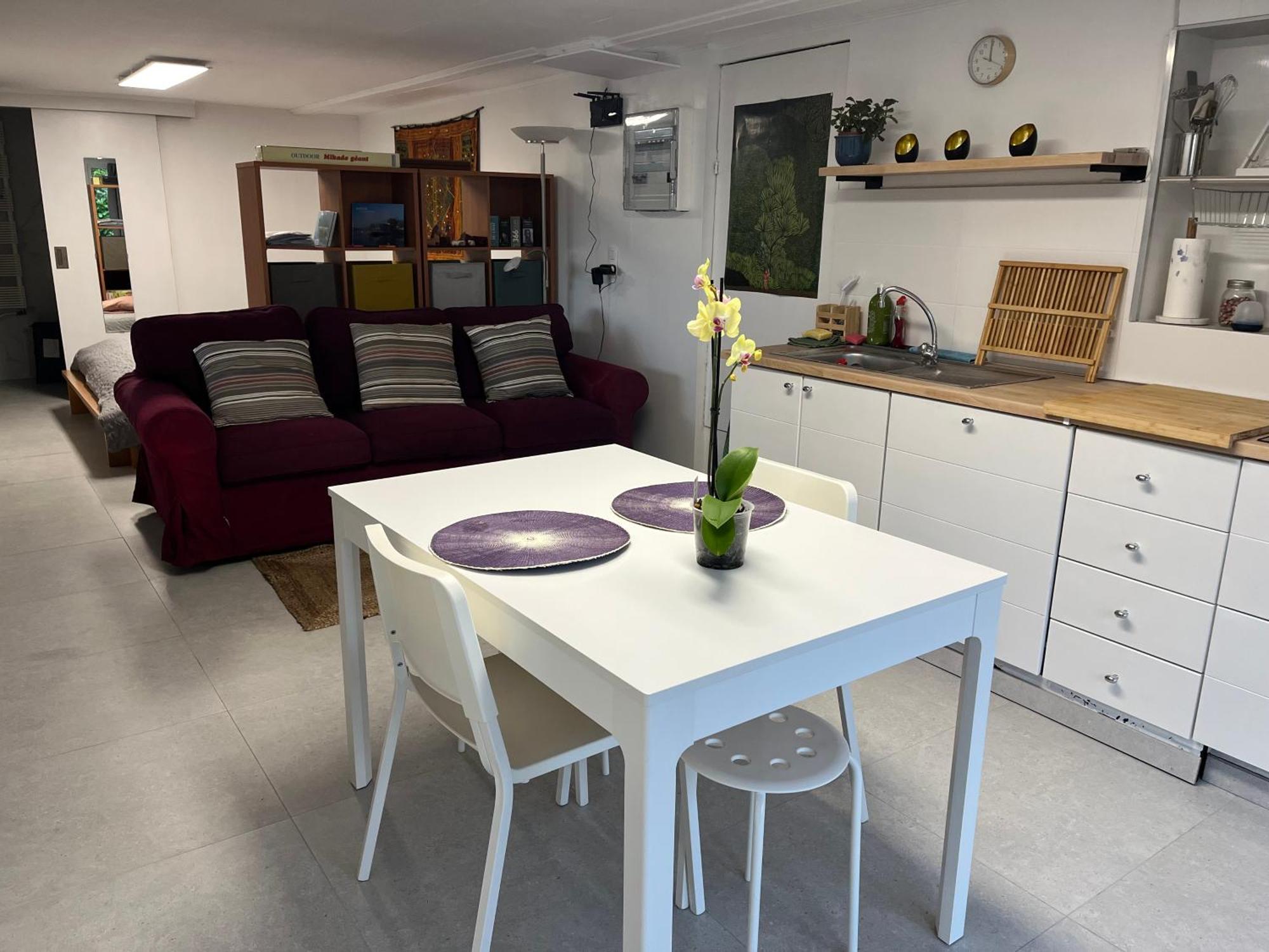 Studio Renove Rdc Terrasse Wepion Намюр Екстериор снимка